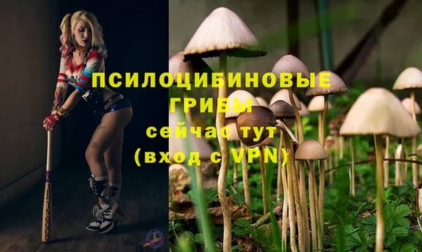 а пвп мука Алзамай