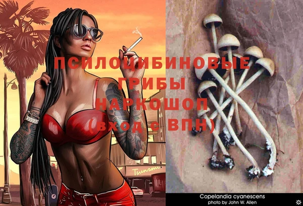а пвп мука Алзамай